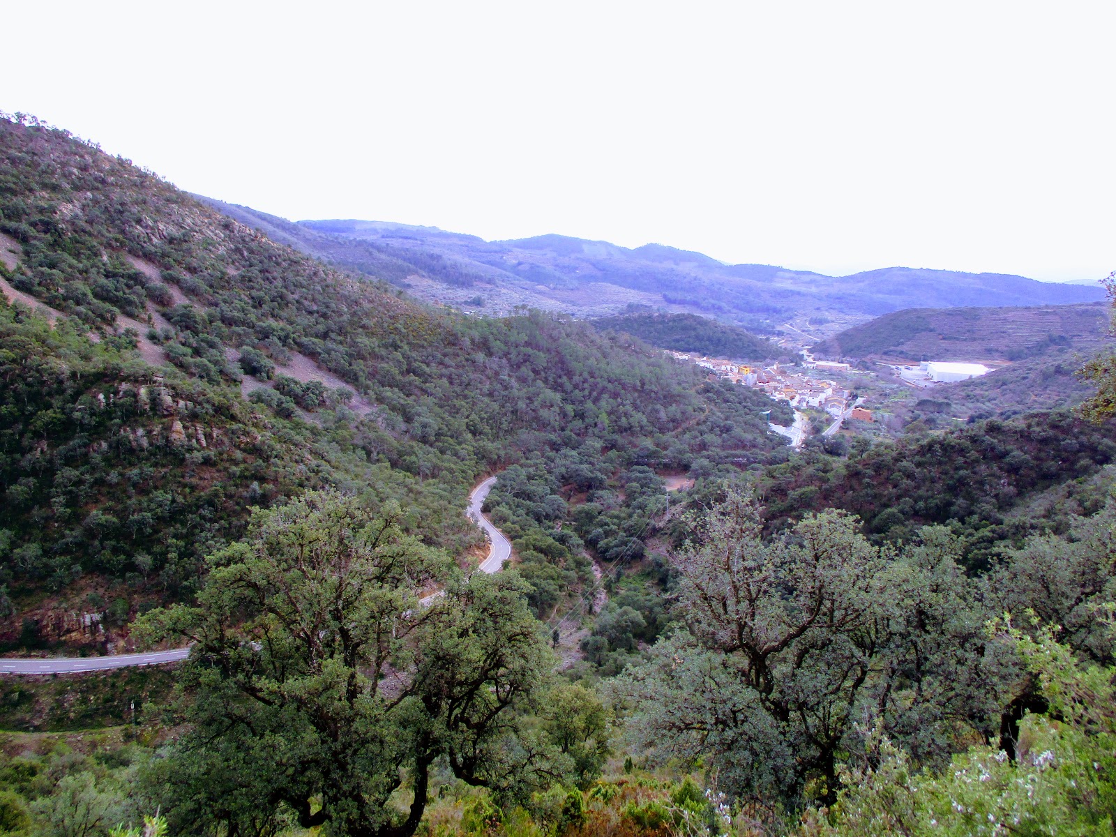 "Dos Sierras" - Delegación de Valencia
