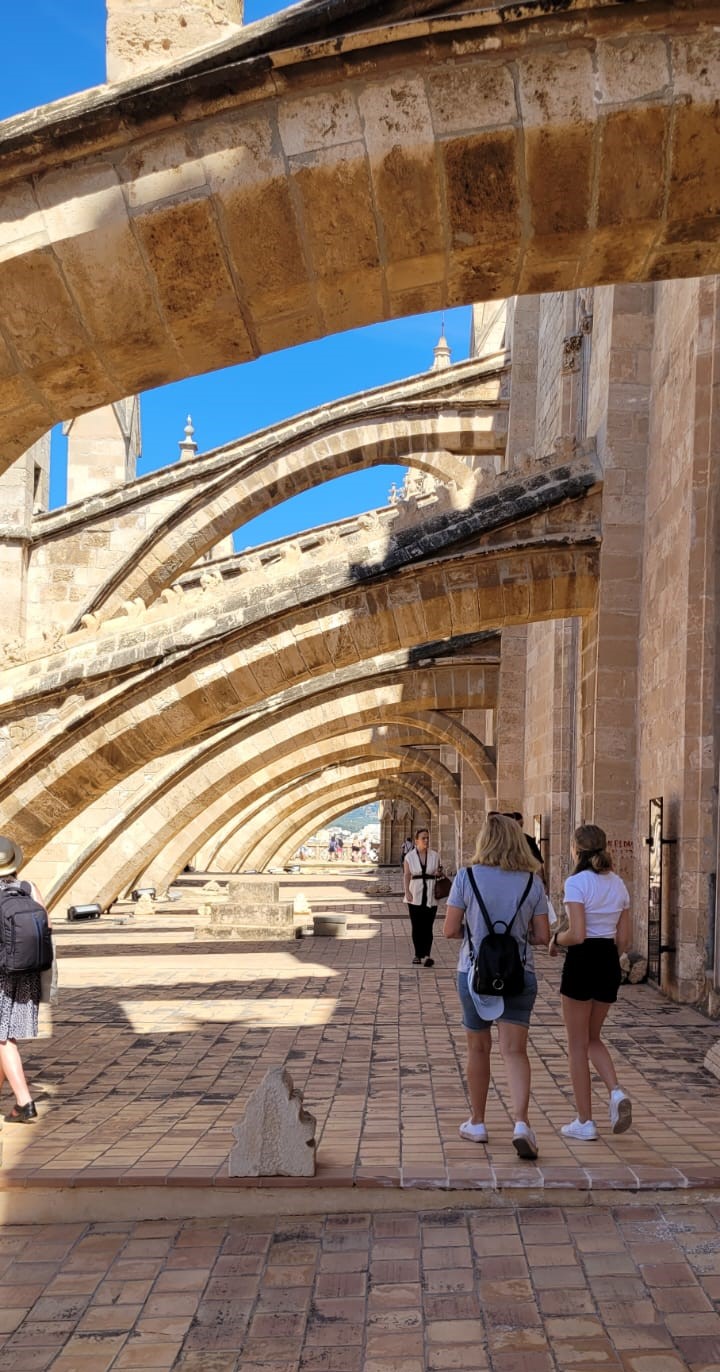Delegación de Baleares - Visita a la catedral de Mallorca