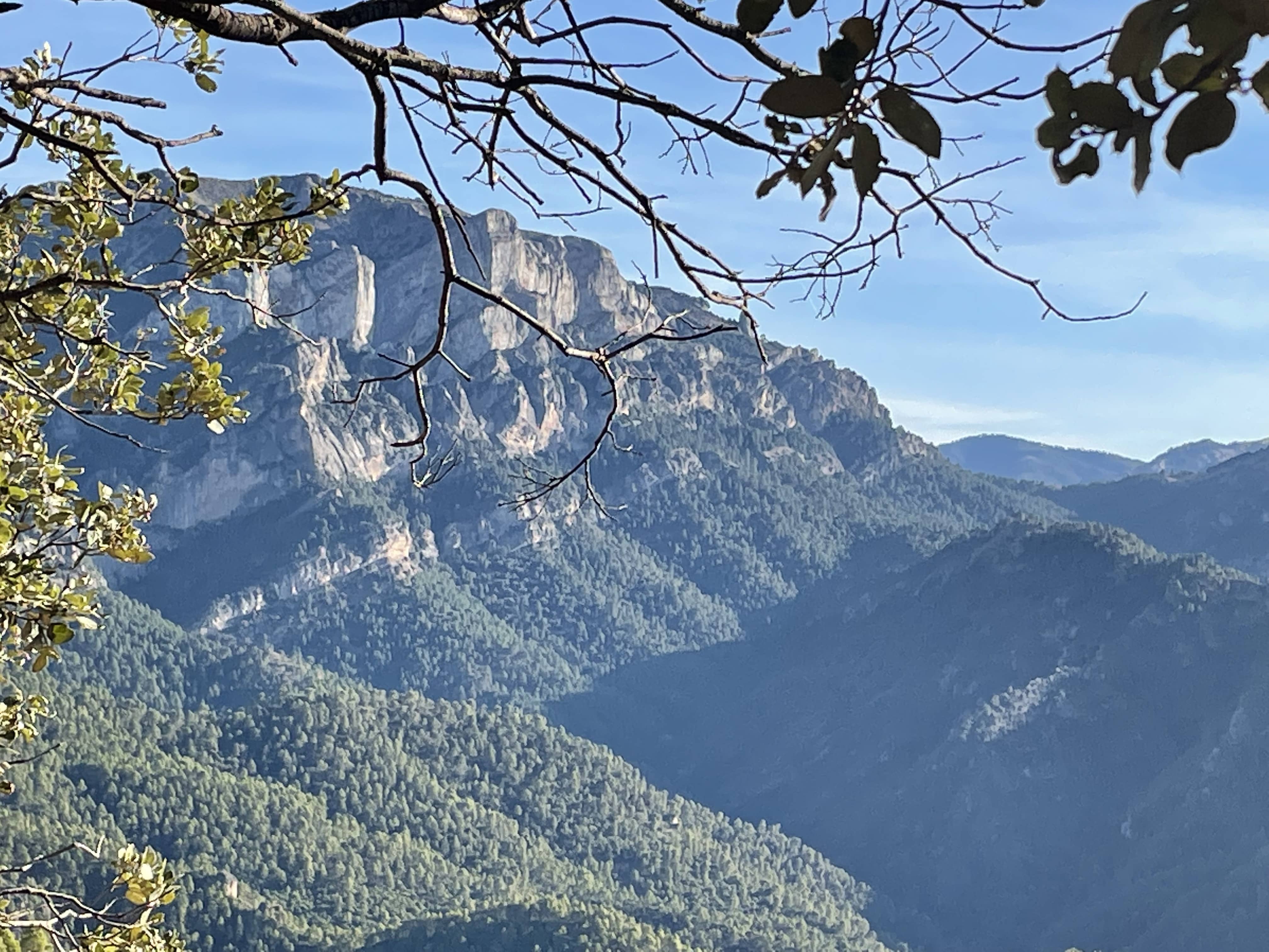 #2 Ruta Delegación Albacete-Cuenca: La Berrea