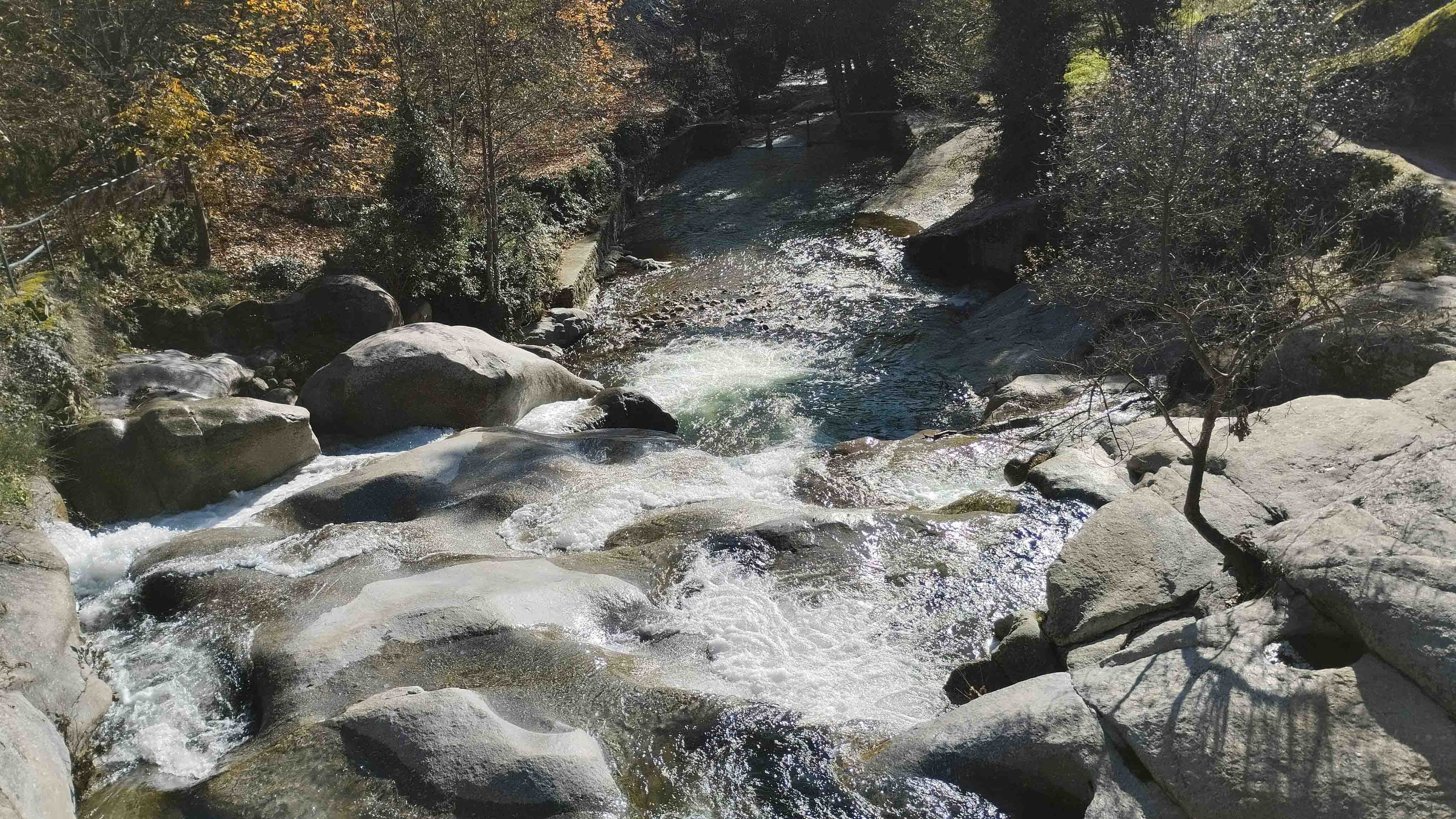 Otoño Mágico